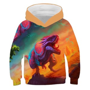 Bluza dziecięca 3D DINOZAURY Rozmiar 100-160    